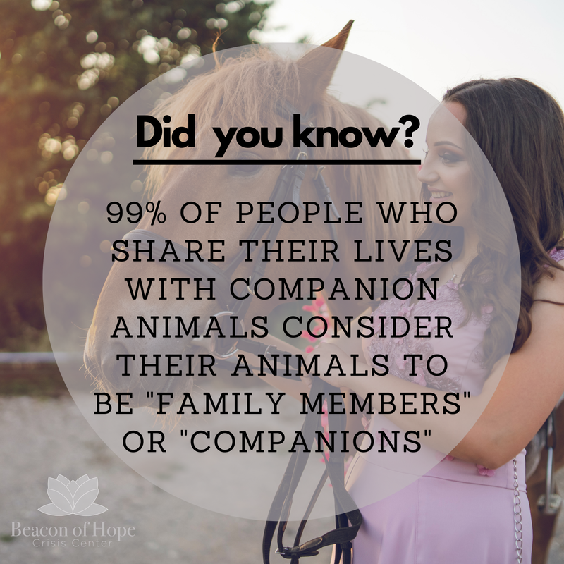 Did you know?  99% of people who share their lives with companion animals consider their animals to be "family members" or "companions"