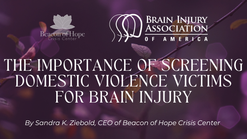 The Importance of Screening Domestic Violence Victims for Brain Injury