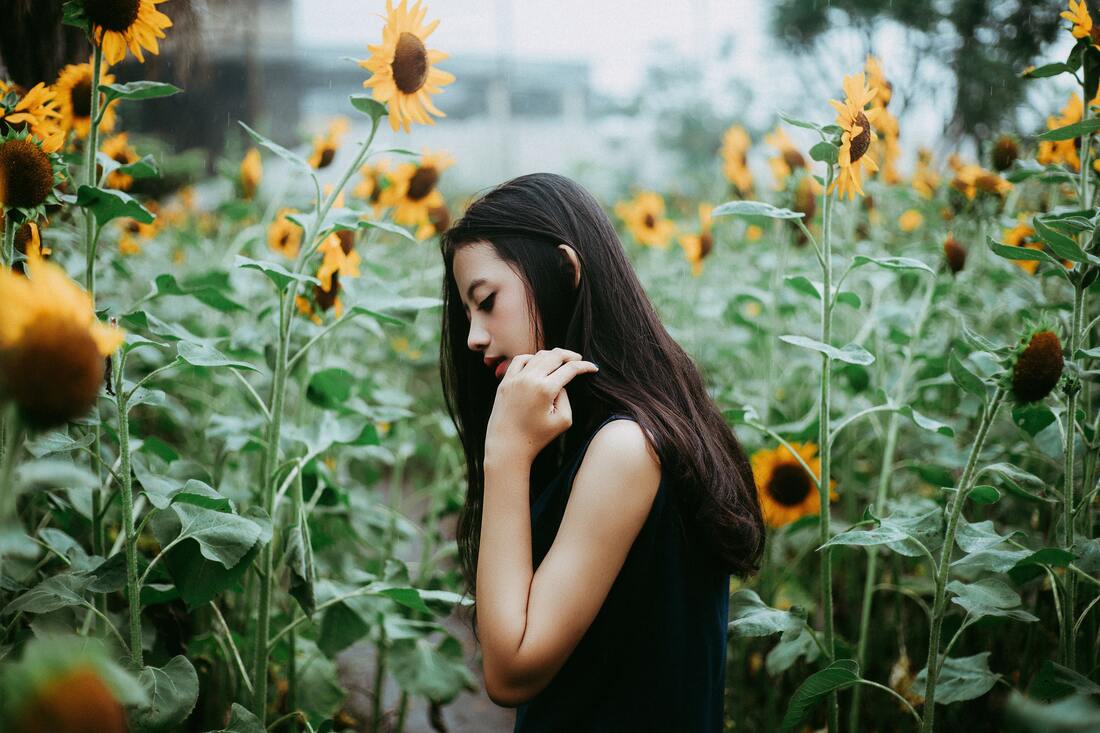 Person standing in a field of sunflowers