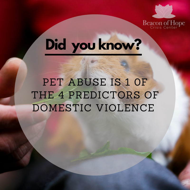 Did you know?  Pet abuse is 1 of the 4 predictors of domestic violence