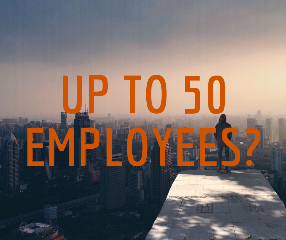 Less than 30 employees?