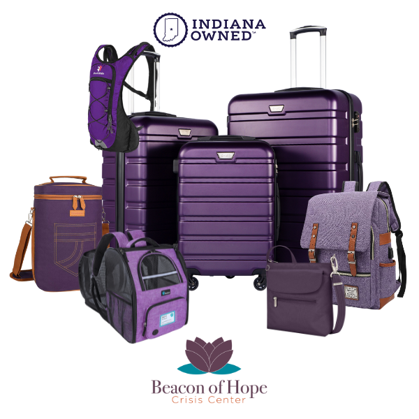 Bundle of purple auction items including a luggage set, hiking backpack, wine cooler, pet carrier, security purse, and laptop carrier backpack