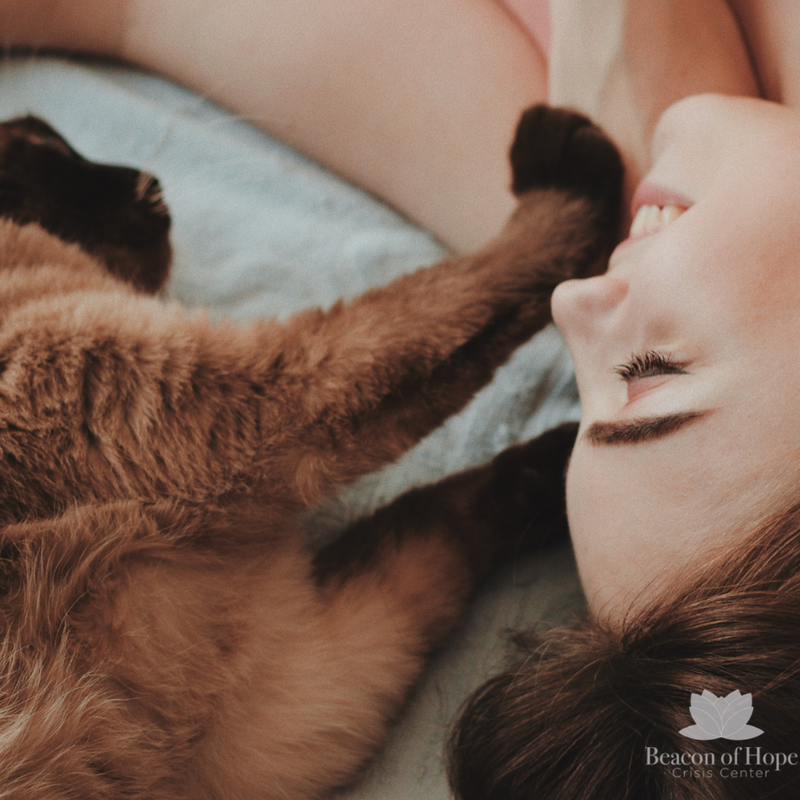 Pet cuddling with woman