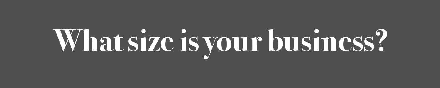 What size is your business?